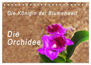 Die Königin der Blumenwelt, die Orchidee (Tischkalender 2024 DIN A5 quer), CALVENDO Monatskalender von Rosenthal,  Peter