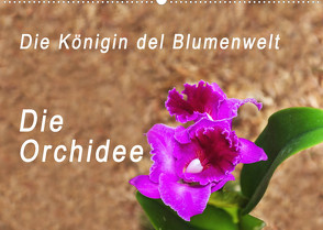 Die Königin der Blumenwelt, die Orchidee (Wandkalender 2022 DIN A2 quer) von Rosenthal,  Peter