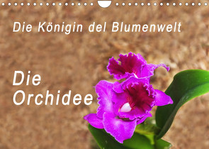 Die Königin der Blumenwelt, die Orchidee (Wandkalender 2023 DIN A4 quer) von Rosenthal,  Peter