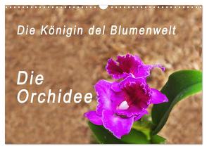 Die Königin der Blumenwelt, die Orchidee (Wandkalender 2024 DIN A3 quer), CALVENDO Monatskalender von Rosenthal,  Peter