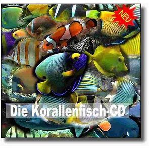 Die Korallenfisch-CD von Stimm,  Andreas