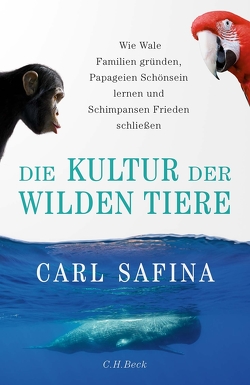 Die Kultur der wilden Tiere von Safina,  Carl, Schmid,  Sigrid, Würdinger,  Gabriele