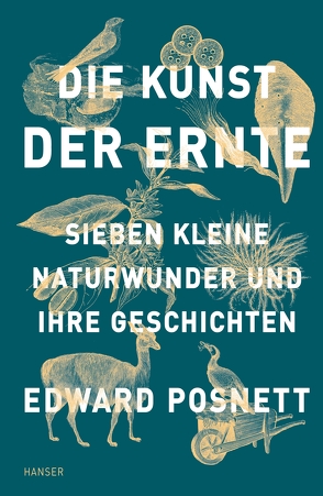 Die Kunst der Ernte von Hübner,  Sabine, Posnett,  Edward