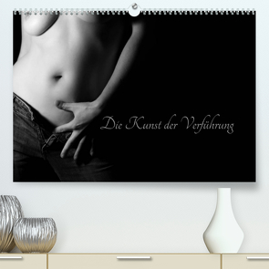 Die Kunst der Verführung (Premium, hochwertiger DIN A2 Wandkalender 2023, Kunstdruck in Hochglanz) von Pi,  Dora