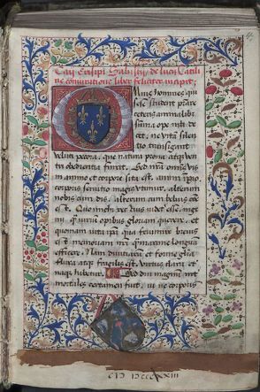 Die lateinischen Handschriften bis 1600 Band 2: Quarthandschriften (Q) von Bushey,  Betty C, Eifler,  Matthias