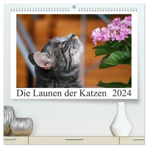 Die Launen der Katzen 2024 (hochwertiger Premium Wandkalender 2024 DIN A2 quer), Kunstdruck in Hochglanz von Kropf,  Anna