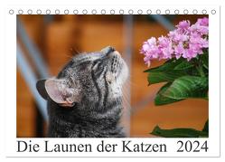 Die Launen der Katzen 2024 (Tischkalender 2024 DIN A5 quer), CALVENDO Monatskalender von Kropf,  Anna