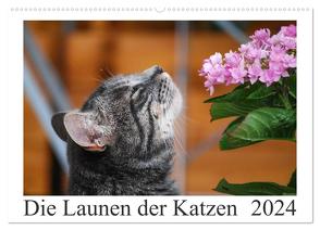 Die Launen der Katzen 2024 (Wandkalender 2024 DIN A2 quer), CALVENDO Monatskalender von Kropf,  Anna