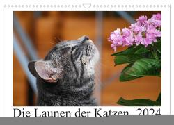 Die Launen der Katzen 2024 (Wandkalender 2024 DIN A3 quer), CALVENDO Monatskalender von Kropf,  Anna