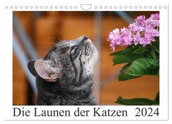 Die Launen der Katzen 2024 (Wandkalender 2024 DIN A4 quer), CALVENDO Monatskalender von Kropf,  Anna