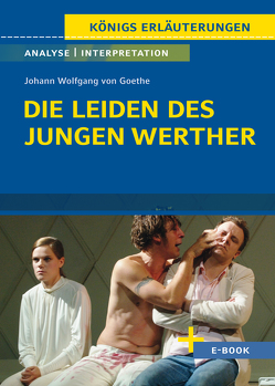 Die Leiden des jungen Werther von Johann Wolfgang von Goethe – Textanalyse und Interpretation von Bernhardt,  Rüdiger, Goethe,  Johann Wolfgang von