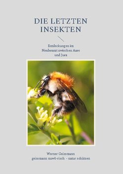 Die letzten Insekten von Geissmann,  Werner