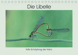 Die Libelle – tolle Schöpfung der Natur (Tischkalender 2021 DIN A5 quer) von Rufotos