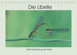 Die Libelle – tolle Schöpfung der Natur (Tischkalender 2022 DIN A5 quer) von Rufotos