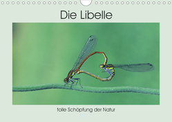 Die Libelle – tolle Schöpfung der Natur (Wandkalender 2021 DIN A4 quer) von Rufotos