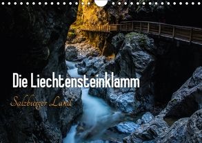 Die Liechtensteinklamm – Salzburger Land (Wandkalender 2018 DIN A4 quer) von Gold,  Michaela