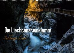 Die Liechtensteinklamm – Salzburger Land (Wandkalender 2019 DIN A2 quer) von Gold,  Michaela