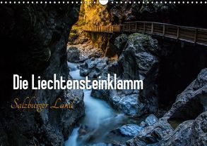 Die Liechtensteinklamm – Salzburger Land (Wandkalender 2019 DIN A3 quer) von Gold,  Michaela