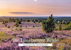 Die Lüneburger Heide – Faszination einer Naturlandschaft (Wandkalender 2023 DIN A2 quer) von AkremaFotoArt