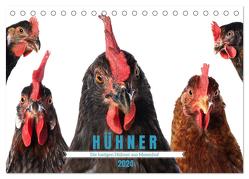 Die lustigen Hühner aus Mosenhof (Tischkalender 2024 DIN A5 quer), CALVENDO Monatskalender von Kiener - DoraZett,  Judith