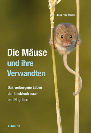 Die Mäuse und ihre Verwandten von Gredig,  Lea, Müller,  Jürg Paul