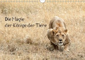 Die Magie der Könige der Tiere (Wandkalender 2018 DIN A4 quer) von Skrypzak,  Rolf