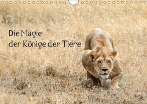 Die Magie der Könige der Tiere (Wandkalender 2019 DIN A4 quer) von Skrypzak,  Rolf