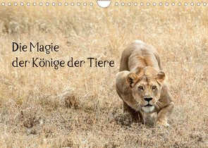 Die Magie der Könige der Tiere (Wandkalender 2022 DIN A4 quer) von Skrypzak,  Rolf