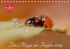 Die Magie der Tropfen 2019 (Tischkalender 2019 DIN A5 quer) von Kropf,  Anna