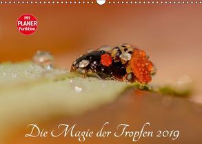 Die Magie der Tropfen 2019 (Wandkalender 2019 DIN A3 quer) von Kropf,  Anna