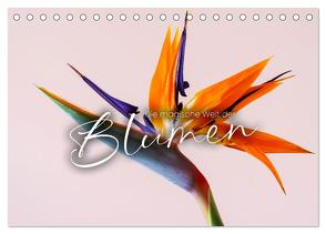 Die magische Welt der Blumen (Tischkalender 2024 DIN A5 quer), CALVENDO Monatskalender von SF,  SF