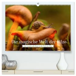 Die magische Welt der Pilze (hochwertiger Premium Wandkalender 2024 DIN A2 quer), Kunstdruck in Hochglanz von Sperber,  Simone