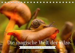 Die magische Welt der Pilze (Tischkalender 2023 DIN A5 quer) von Sperber,  Simone