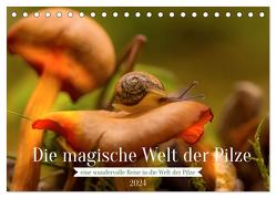 Die magische Welt der Pilze (Tischkalender 2024 DIN A5 quer), CALVENDO Monatskalender von Sperber,  Simone