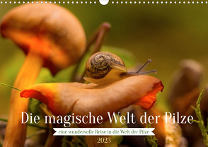 Die magische Welt der Pilze (Wandkalender 2023 DIN A3 quer) von Sperber,  Simone