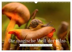 Die magische Welt der Pilze (Wandkalender 2024 DIN A3 quer), CALVENDO Monatskalender von Sperber,  Simone