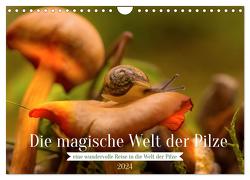Die magische Welt der Pilze (Wandkalender 2024 DIN A4 quer), CALVENDO Monatskalender von Sperber,  Simone
