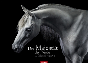 Die Majestät der Pferde Kalender 2020 von Weingarten