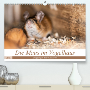 Die Maus im Vogelhaus (Premium, hochwertiger DIN A2 Wandkalender 2020, Kunstdruck in Hochglanz) von Photography by Nicole Köstler,  Passion