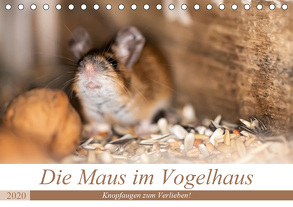 Die Maus im Vogelhaus (Tischkalender 2020 DIN A5 quer) von Photography by Nicole Köstler,  Passion