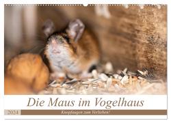 Die Maus im Vogelhaus (Wandkalender 2024 DIN A2 quer), CALVENDO Monatskalender von Photography by Nicole Peters,  Passion