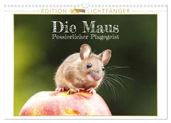 Die Maus: Possierlicher Plagegeist – Edition Lichtfänger (Wandkalender 2024 DIN A3 quer), CALVENDO Monatskalender von CALVENDO,  CALVENDO