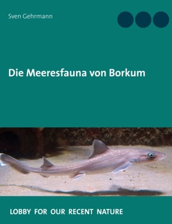 Die Meeresfauna von Borkum von Gehrmann,  Sven