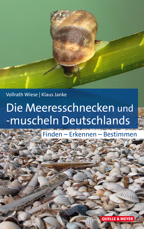 Die Meeresschnecken und -muscheln Deutschlands von Janke,  Klaus, Wiese,  Vollrath