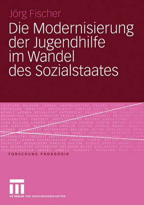 Die Modernisierung der Jugendhilfe im Wandel des Sozialstaates von Fischer,  Jörg