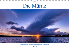 Die Müritz – Naturparadies der Mecklenburgischen Seenplatte (Wandkalender 2019 DIN A3 quer) von Pretzel - FotoPretzel,  André