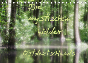 Die mystischen Wälder Ostdeutschlands (Tischkalender 2023 DIN A5 quer) von Everaars,  Jeroen