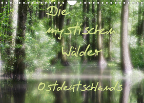 Die mystischen Wälder Ostdeutschlands (Wandkalender 2023 DIN A4 quer) von Everaars,  Jeroen