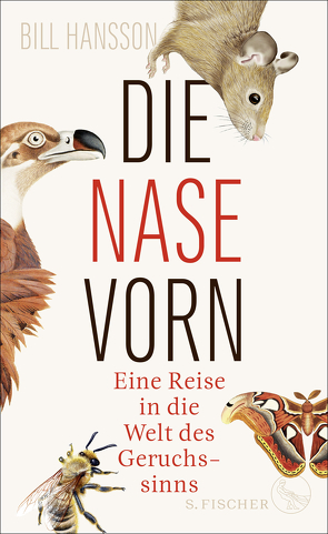 Die Nase vorn von Hansson,  Bill, Vogel,  Sebastian