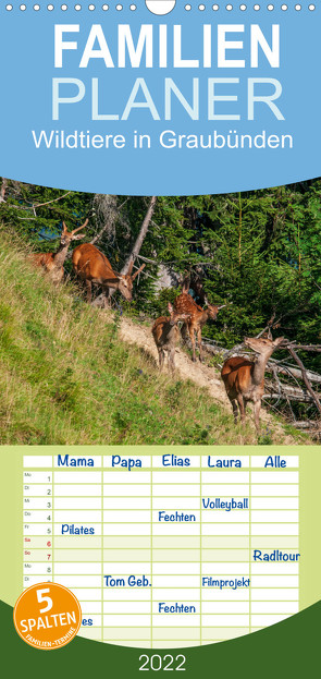 Familienplaner Die Natur erleben – Wildtiere in Graubünden (Wandkalender 2022 , 21 cm x 45 cm, hoch) von Plattner,  Jürg
